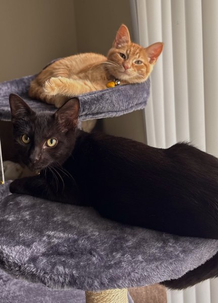 Dorian and Jinx